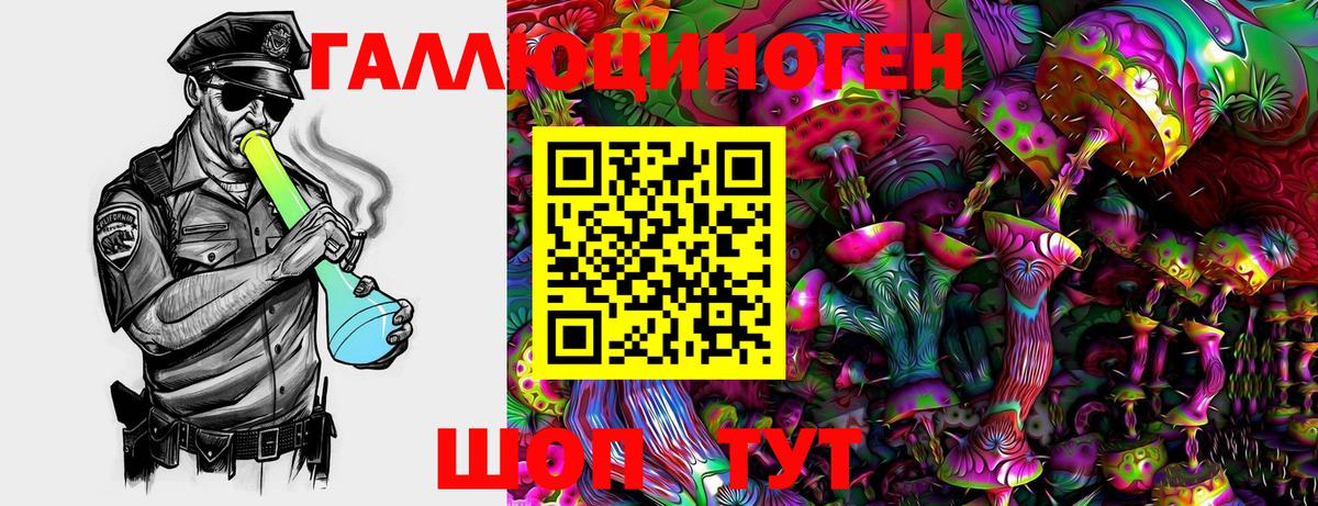Псилоцибиновые грибы GOLDEN TEACHER Солнечногорск