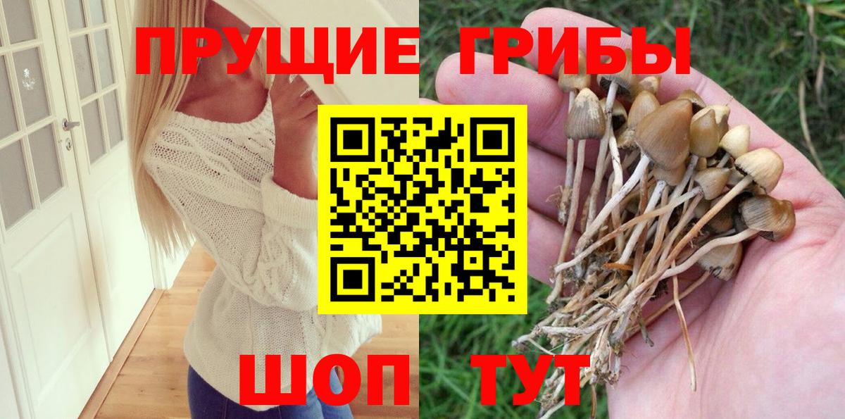 Солнечногорск  Псилоцибиновые грибы мухоморы  Вход с VPN 